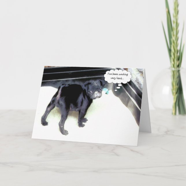 Sandy Carlin Bonne Carte de voeux Anniversaire (Devant)