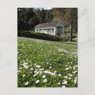 Sandy Cr. Covered Bridge Postkarte