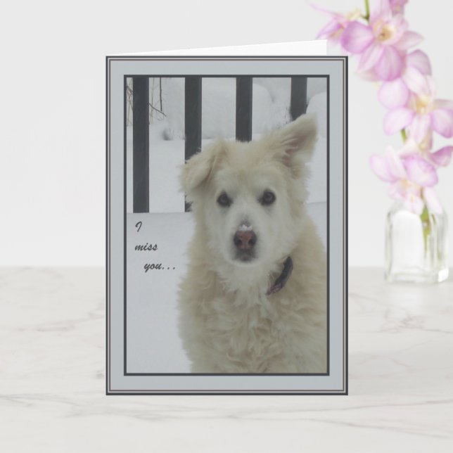 *Sandy Dog - ich vermisse dich Karte (Orchidee)