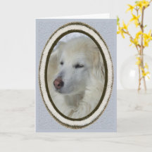 *Sandy Dog - Vermisst Sie