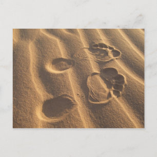 SANDY FEET POSTKARTE