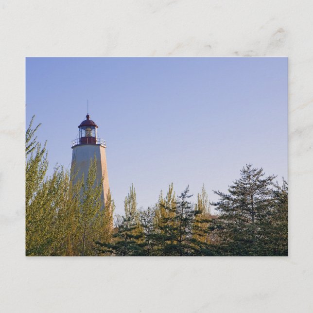 Sandy Hook III Lighthouse Postcard Postkarte (Vorderseite)