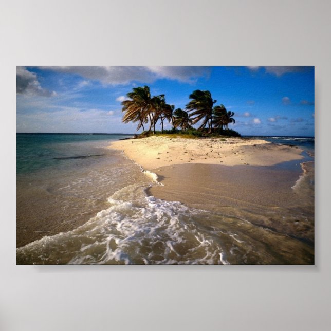 Sandy Island, Anguilla, Karibik Poster (Vorne)