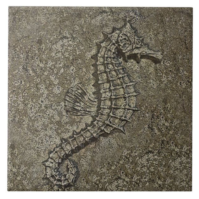 Sandy maserte Seepferd geänderte Fotografie Fliese (Vorderseite)