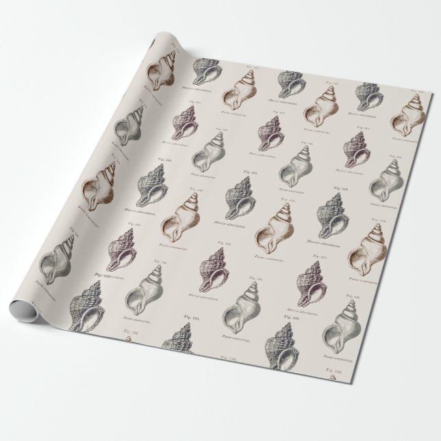 Sandy Muscheln Vintag Seaside Pattern Wrapping Pap Geschenkpapier (Ungerollt)