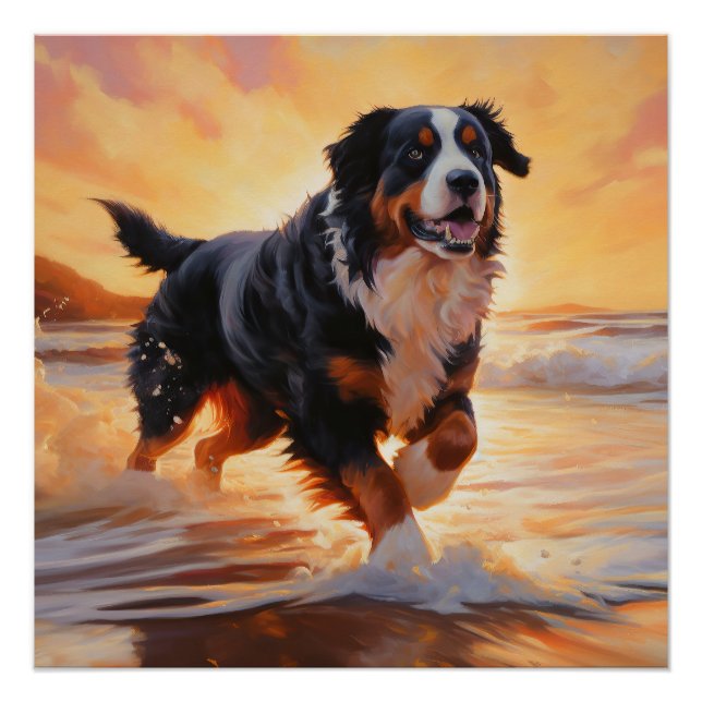 Sandy Paws Bernese Mountain Dog on Beach Sunset Poster (Vorderseite)