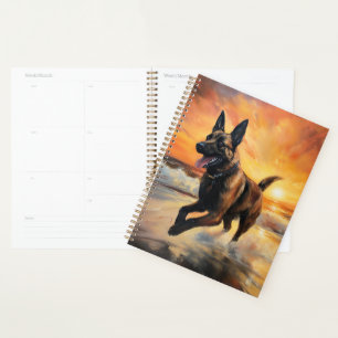 Sandy Paws Chien Malinois Belge sur le coucher du 