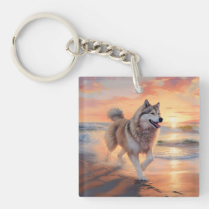 Sandy Paws Malamute Alaskan sur la plage au couche