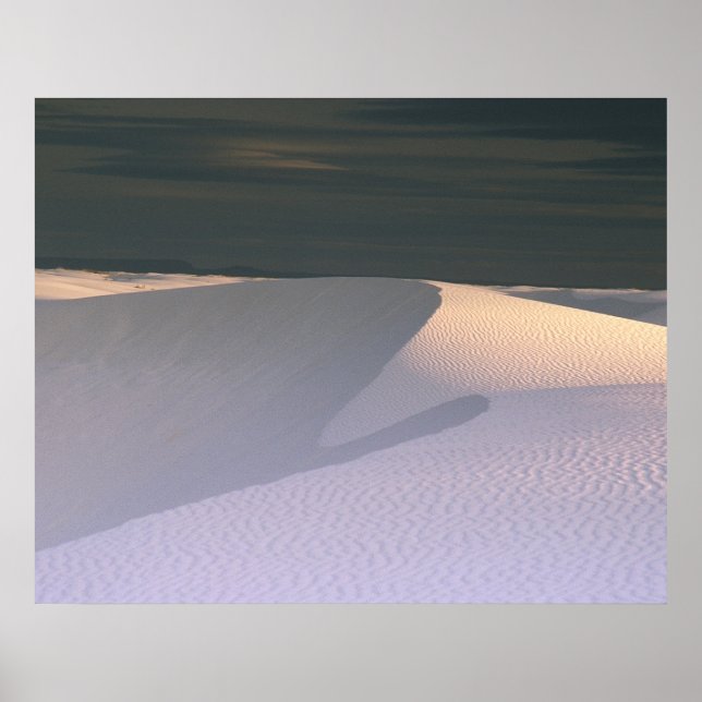 Sandy Wappen Poster (Vorne)