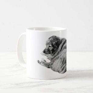 Sanft schattierter Hund bringt Ruhe in die Morgenr Kaffeetasse
