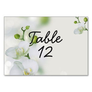 Sanfte Elegante Orchidee Tischnummer