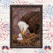 Sanfte patriotische Adler- und Jungadler-Kunst