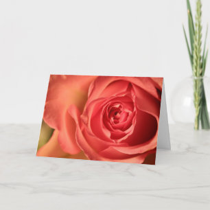 Sanfte rosa Rosen Liebesgrußkarte Karte