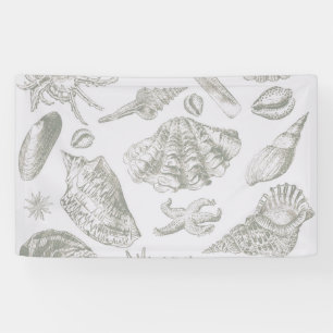Sanfte Salbeigraue Muschelskizze Antik Natur Banner