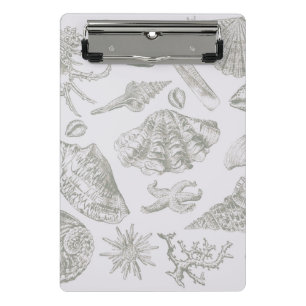 Sanfte Salbeigraue Muschelskizze Antik Natur Mini Klemmbrett