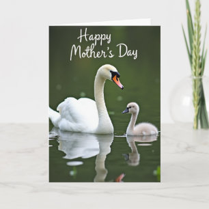 Sanfte Schwan Muttertagskarte Karte