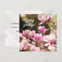 Sanfte träumerische Magnolie Frühlingsgruß