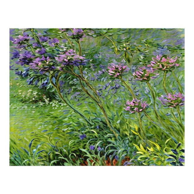 Sanfte und lebendige Darstellung der Agapanthus-Bl Fotodruck (Vorne)