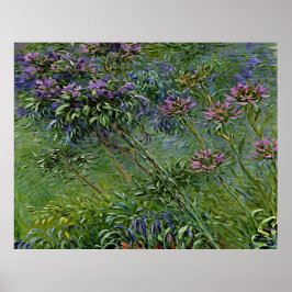 Sanfte und lebendige Darstellung der Agapanthus-Bl Poster