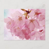 Sanfte Vintage-Rosa Kirschblüten