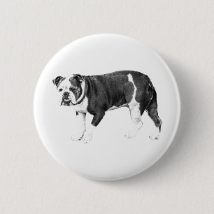 Sanfter Bulldogge, zeitloser Akzent Button