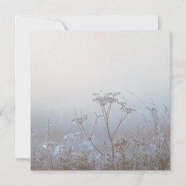 Sanfter Frostiger Morgen Natur Karte