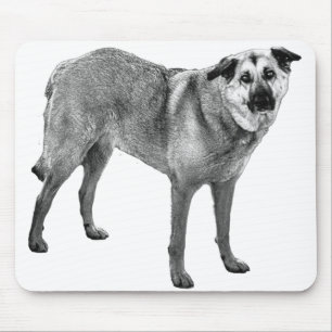 sanfter Lichtfokus, tibetischer Mix Mousepad