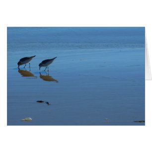 Sänger am Strand