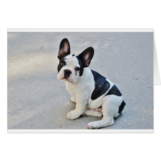 Sängerin (Vorderseite (Horizontal))