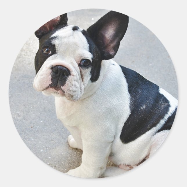 Sängerin Aufkleber (Vorderseite)