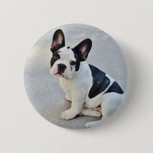 Sängerin Button