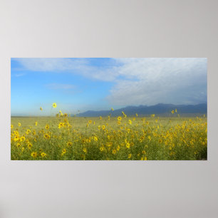 Sangre de Cristo, große Sanddünen und Blume Poster