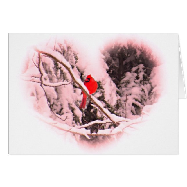 Sangria Snow Cardinal Heart (Devant horizontal)