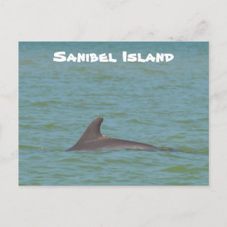 Sanibel Dolphin Postkarte