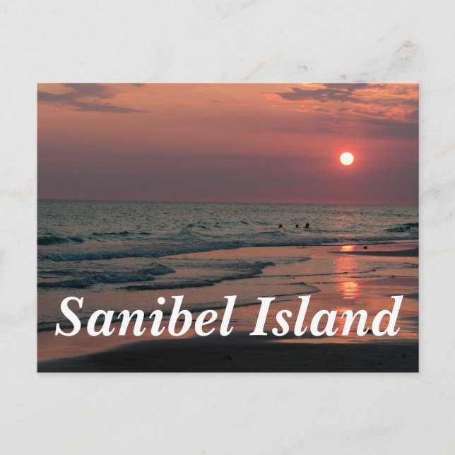 Sanibel Island Postkarte (Vorderseite)
