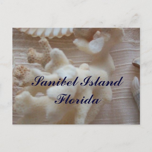 Sanibel Island Postkarte (Vorderseite)