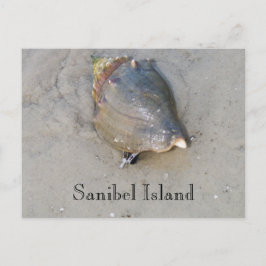 Sanibel Muschel Postkarte