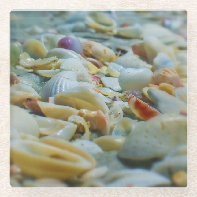 Sanibel Seashells Glass Untersetzer (Vorderseite)