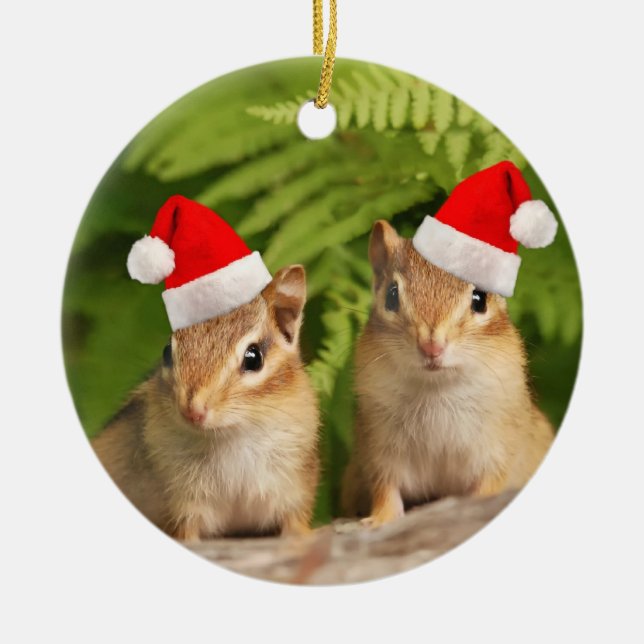 Sankt-Babychipmunks-Doppeltes versah Verzierung Keramikornament (Vorne)