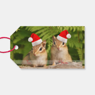 Sankt-BabyChipmunks Geschenkanhänger