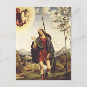 Sankt Rochus von Francesco Francia Postkarte