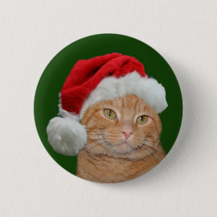 Sankt-Tatzen Button