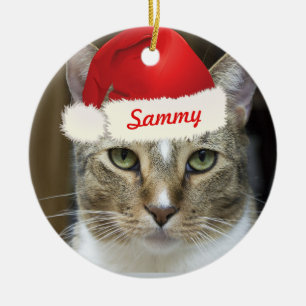 Sankt-Tatzen-Verzierung Keramik Ornament