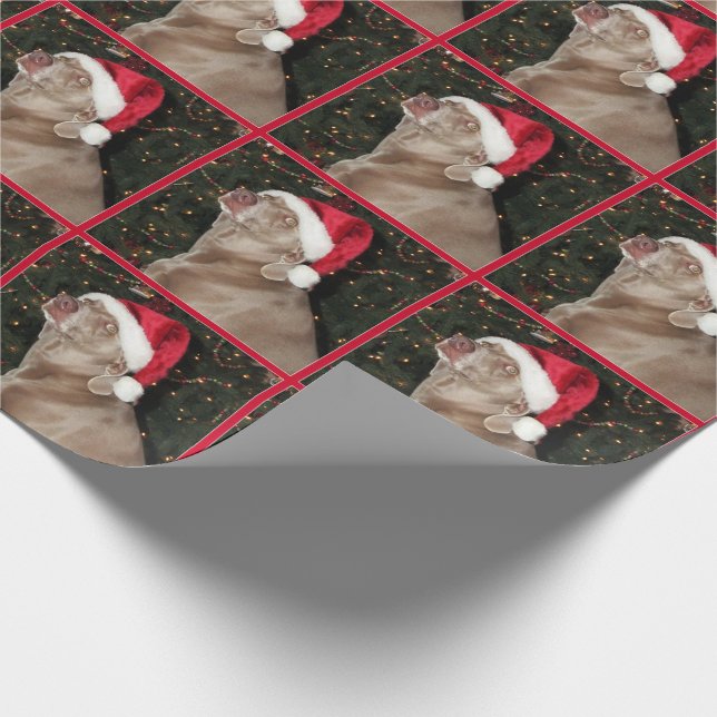 Sankt-Tatzen - Weimaraner Art - Packpapier (Ecke)