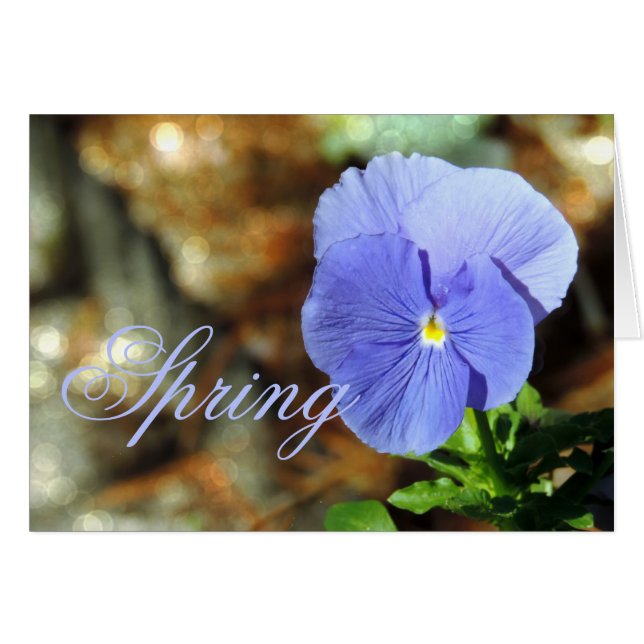 Sansy Bleu Ressort Toute Carte Occasion (Devant horizontal)