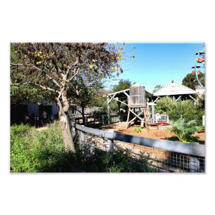 Santa-Ana-Zoo Fotodruck