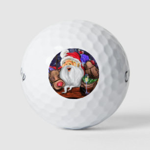 Santa and Reindeers Funny Christmas Golf Balls Golfball