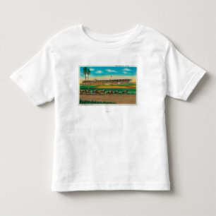 Santa Anita Park-Pferd RacesArcadia, CA Kleinkind T-shirt