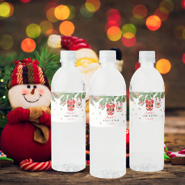 Santa Baby Christmas Baby Shower Decoration