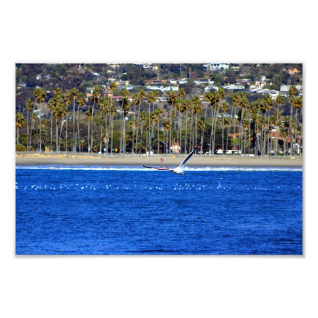 Santa Barbara, CA Fotodruck (Vorne)
